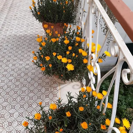 Hébergement de vacances La Casa Di Rosa - Meta